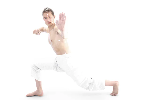 Karate 1 pose — Stock Photo, Image