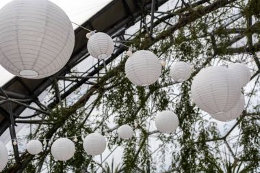 Güzel festival ışık. Yeşil yeşillik ile asılı beyaz kağıt fenerler. Taze modern çağdaş.