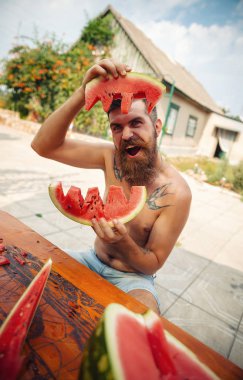 Bir adam şık bir saç modeli, uzun sakallı ve büyük bir zevk ile dövme karpuz yiyor