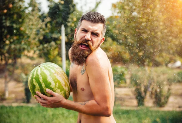 Şık bir saç modeli, uzun siyah sakalı ve dövme ile yakışıklı bir adam büyük bir karpuz elinde tutar..