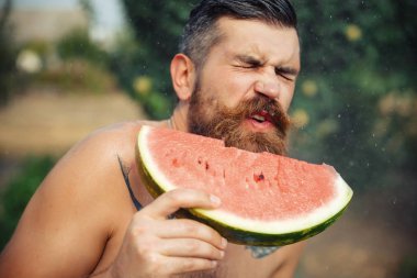 Bir adam şık bir saç modeli, uzun sakallı ve büyük bir zevk ile dövme karpuz yiyor