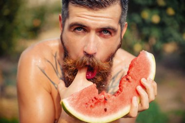 Bir adam şık bir saç modeli, uzun sakallı ve büyük bir zevk ile dövme karpuz yiyor