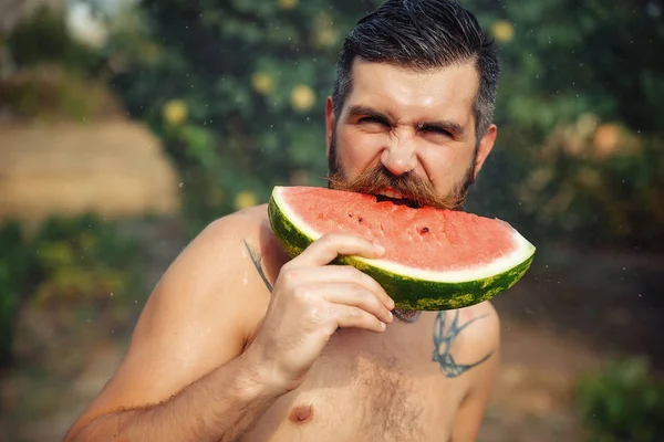 Bir adam şık bir saç modeli, uzun sakallı ve büyük bir zevk ile dövme karpuz yiyor