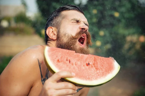 Bir adam şık bir saç modeli, uzun sakallı ve büyük bir zevk ile dövme karpuz yiyor