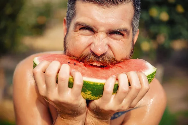 Bir adam şık bir saç modeli, uzun sakallı ve büyük bir zevk ile dövme karpuz yiyor