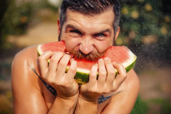 Bir adam şık bir saç modeli, uzun sakallı ve büyük bir zevk ile dövme karpuz yiyor