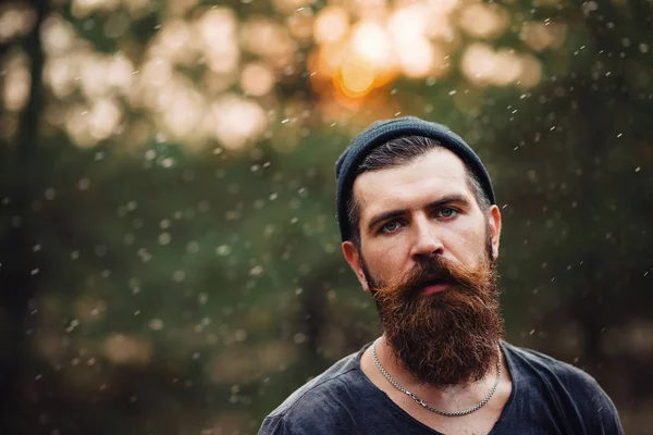 Homme barbu élégant dans un T-shirt sombre, avec une tête sur la tête tenant dans ses mains une hache en bois dans les bois — Photo