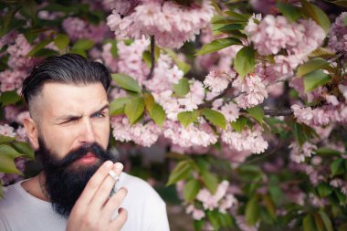 Güzel sakallı adam sakura çiçek yakınındaki bir sigara içiyor