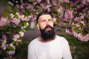 Bir neşeli sakallı adam güzel bıyıklı sakura yakınlarında şık bir hairdress çıkar