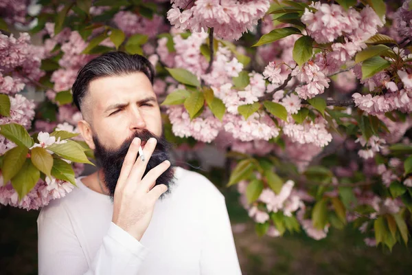 Güzel sakallı adam sakura çiçek yakınındaki bir sigara içiyor