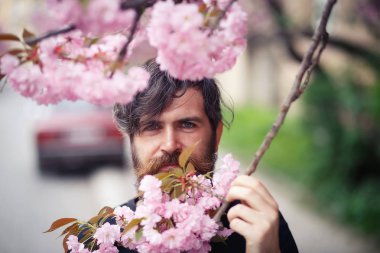 Acımasız bir sakallı adam şık bir saç modeli ile çiçeklenme sakura duruyor