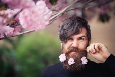 Acımasız bir sakallı adam şık bir saç modeli ile çiçeklenme sakura duruyor