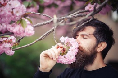 Acımasız bir sakallı adam şık bir saç modeli ile çiçeklenme sakura duruyor