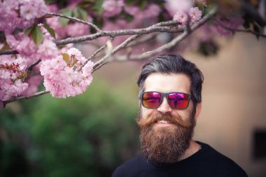Bir şapka ve güneş gözlüğü çiçekli sakura duran acımasız sakallı adam