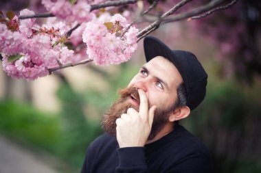 Acımasız bir sakallı adam şık bir saç modeli ile çiçeklenme sakura duruyor