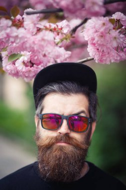 Bir şapka ve güneş gözlüğü çiçekli sakura duran acımasız sakallı adam