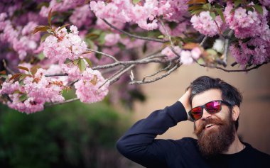 Bir şapka ve güneş gözlüğü çiçekli sakura duran acımasız sakallı adam