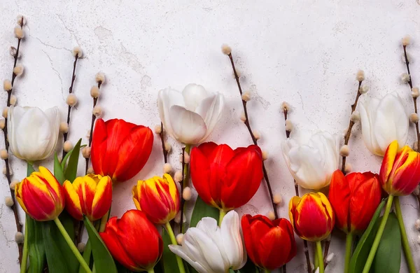 Tulipes colorées avec des branches de saule — Photo