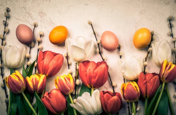 Fleurs fraîches et oeufs de Pâques — Photo