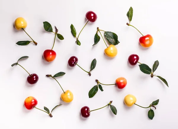 Cerises fraîches aux feuilles — Photo