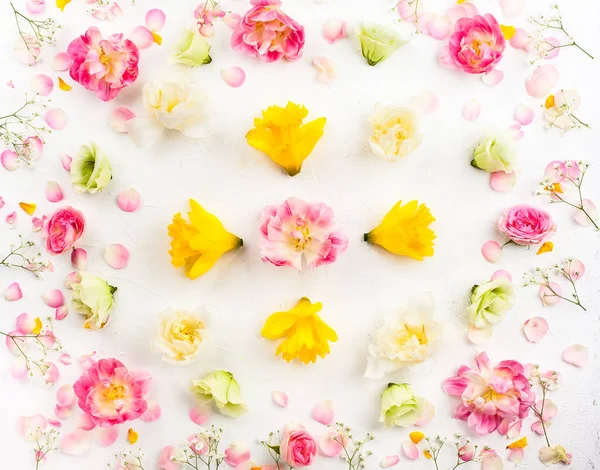 Verschiedene bunte Blumen auf weißem Grund — Stockfoto