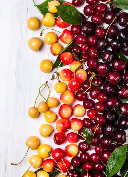 Cerises fraîches aux feuilles vertes — Photo