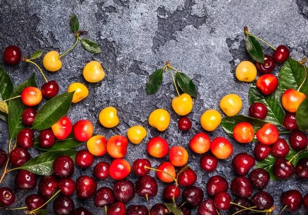 Cerises fraîches mûres — Photo