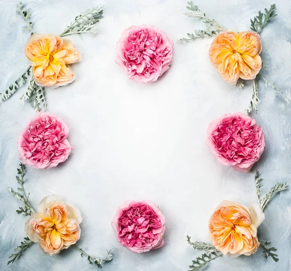 Blommig färgstarka bakgrund — Stockfoto