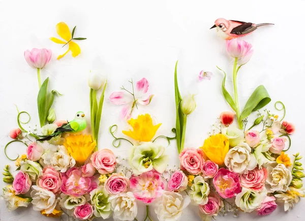 Состав цветов на белом фоне — стоковое фото
