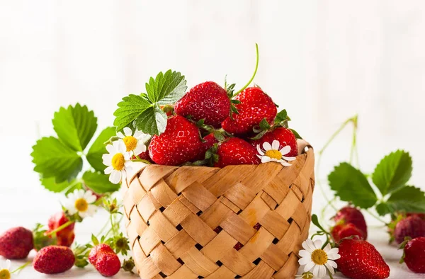 Verse aardbeien in de mand — Stockfoto