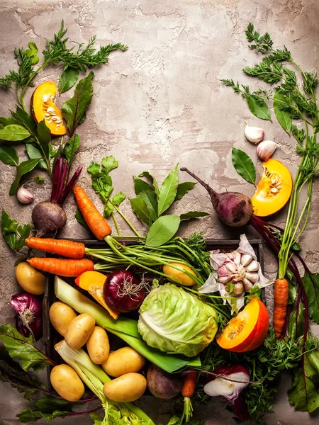 Ingredienti vegetali freschi crudi — Foto Stock