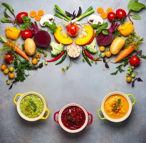 Concept van gezonde plantaardige soepen — Stockfoto