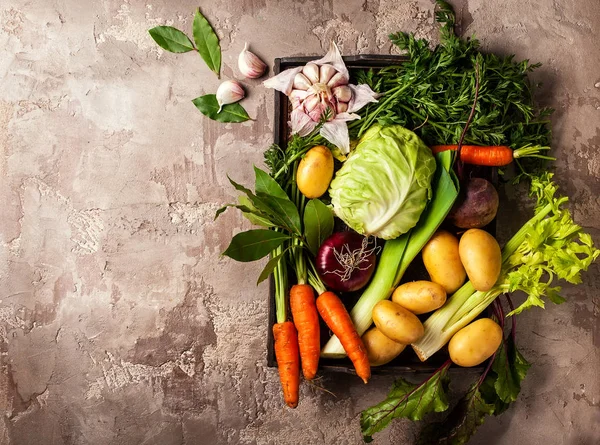 Fresh raw vegetable ingredients — Stock Photo, Image
