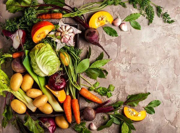 Fresh raw vegetable ingredients — Stock Photo, Image