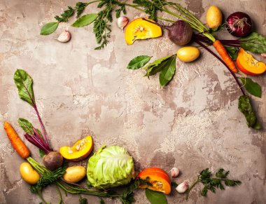 Taze sebze hammaddelerini 