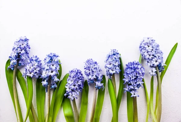 Composição de flores com jacintos lilás . — Fotografia de Stock