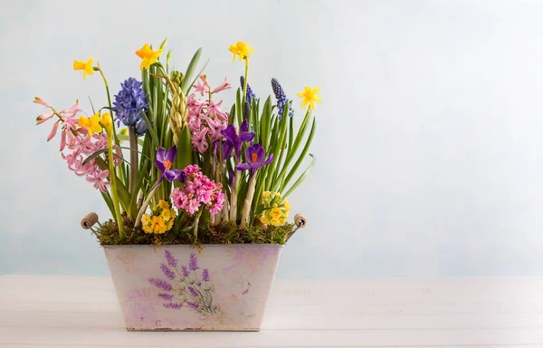 Flores de primavera — Fotografia de Stock