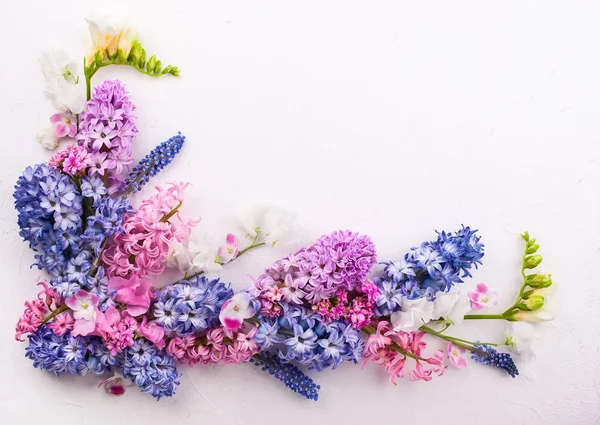 Frühlingsblumen — Stockfoto