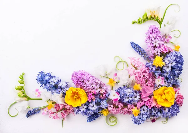 Flores de primavera — Fotografia de Stock