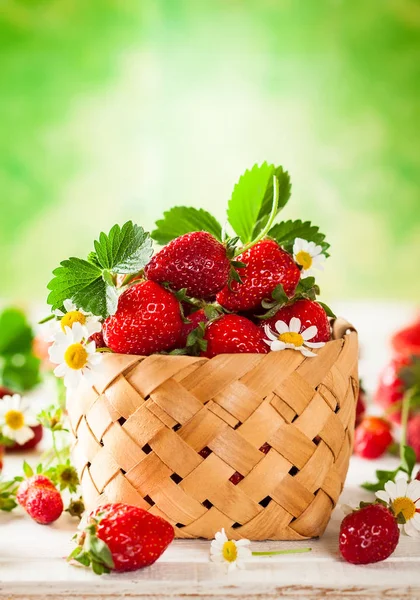 Fragola fresca — Foto Stock