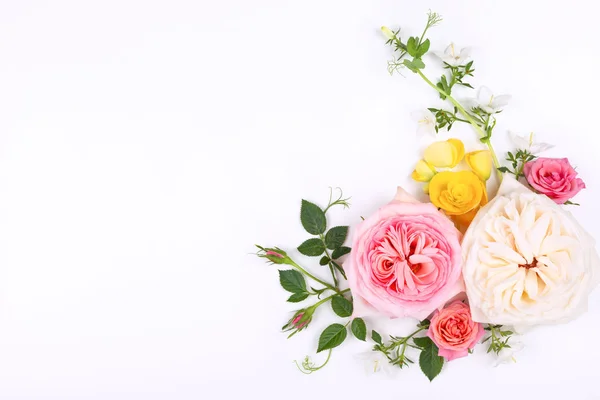 Lindas rosas rosa e branco flores com folhas — Fotografia de Stock