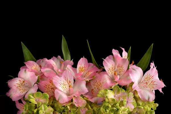 Beautiful bunch of colorful flowers on black background. — Stock Photo, Image