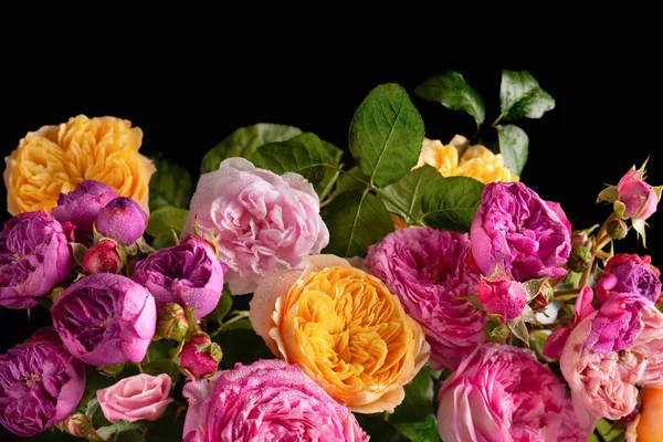 Beautiful bunch of colorful roses flowers on black background — Stock Photo, Image