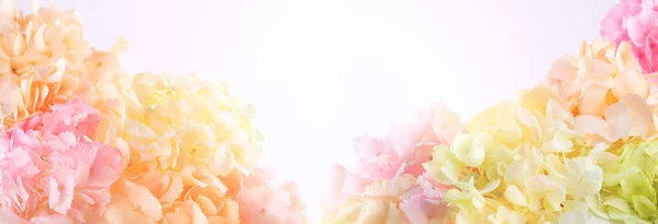 Sträuße von schönen Hortensien — Stockfoto
