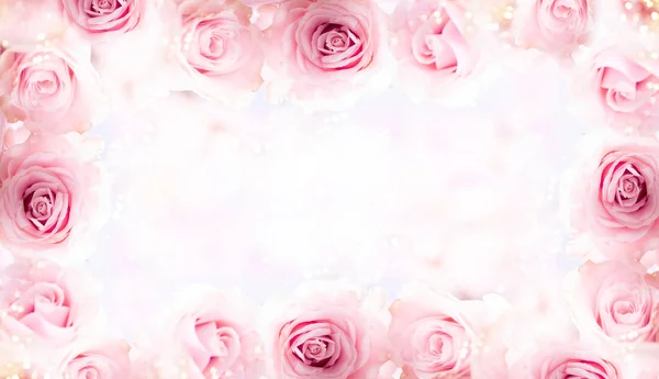 Composição da flor com rosas . — Fotografia de Stock