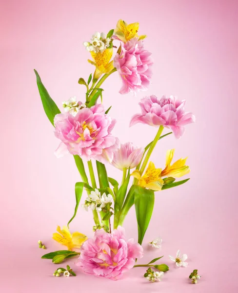 Rosa tulipa e amarelo flores de primavera no fundo rosa . — Fotografia de Stock