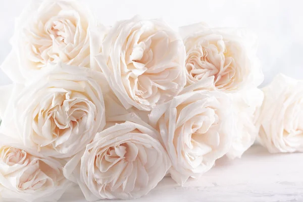 Schöne weiße Rosen Blumen . — Stockfoto