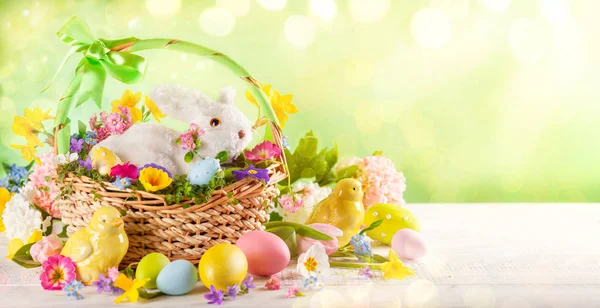 Composición de Pascua con conejito en cesta, flores de primavera y colo —  Fotos de Stock