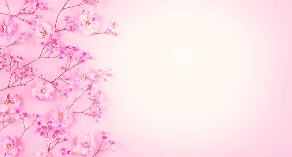 Spring floral composition made of fresh pink flowers on light pa — Stock Photo, Image