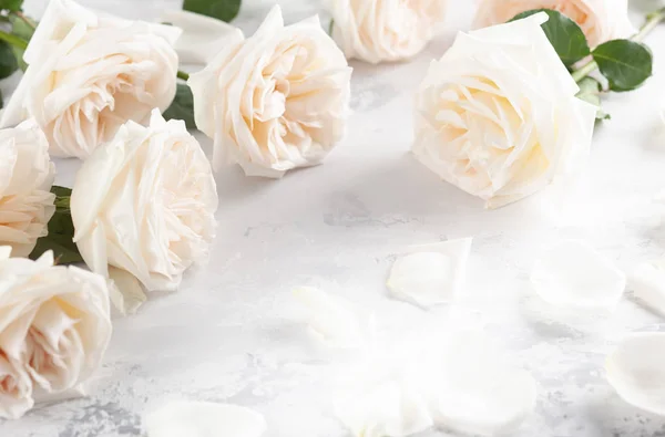 Hermosas rosas blancas flores  . —  Fotos de Stock
